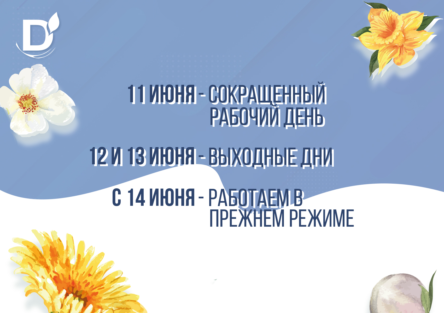 График работы ДиаМарки в Краснодаре, Красноярске, Новосибирске в праздничные дни
